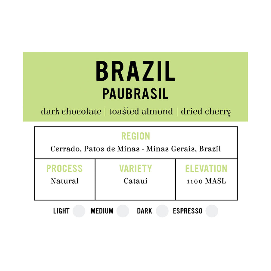 Brazil Paubrasil